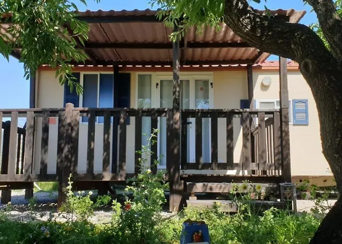 The Farm Tiny House - Tiny Casa