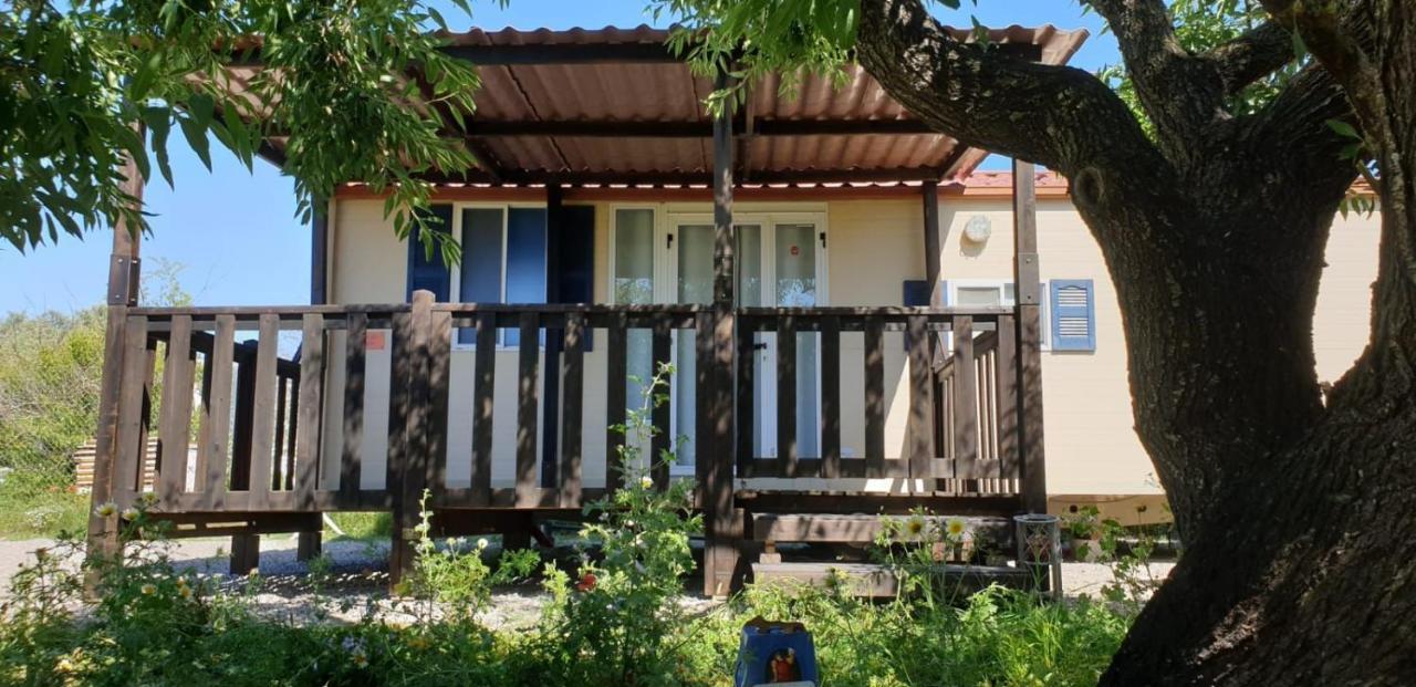 Village de vacances The Farm Tiny House - Tiny Casa *