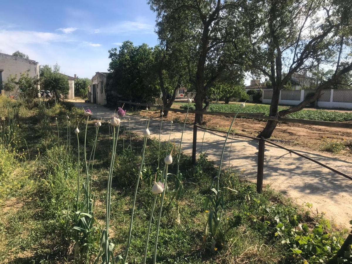 The Farm Tiny House - Tiny Casa Chiclana de la Frontera