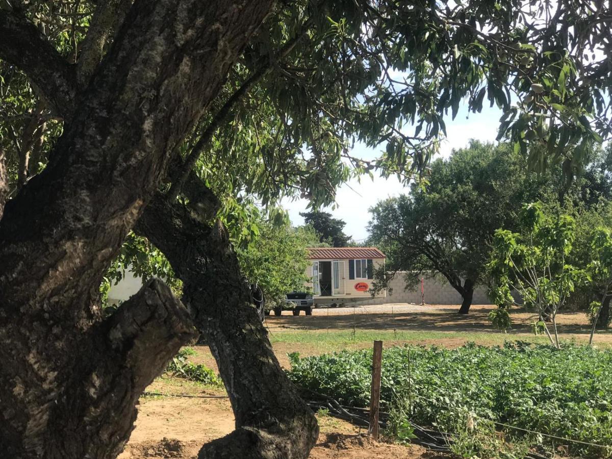 Village de vacances The Farm Tiny House - Tiny Casa Chiclana de la Frontera